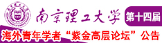 吸插摸南京理工大学第十四届海外青年学者紫金论坛诚邀海内外英才！